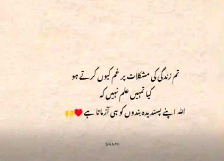 Islamic Quotes image