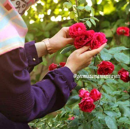 Beautiful Nature image