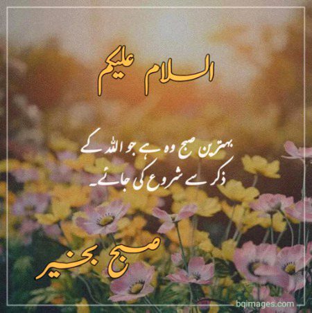 Islamic Quotes image
