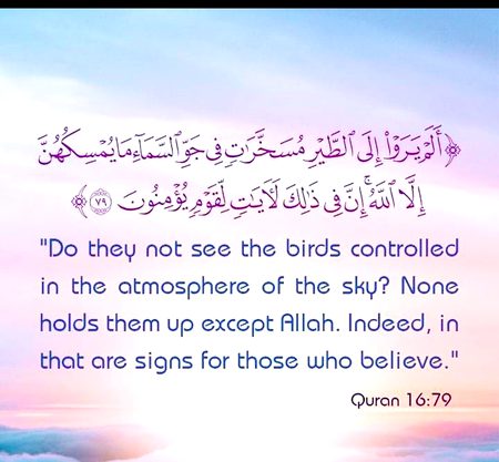 Islamic Quotes image