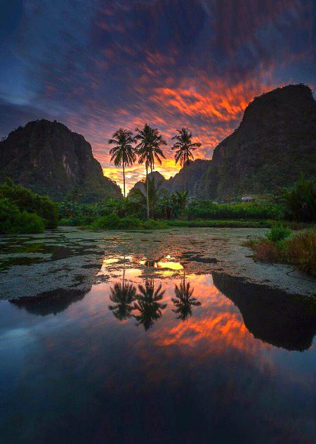 Beautiful Nature image