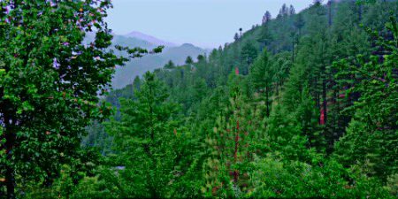 Beautiful Nature image