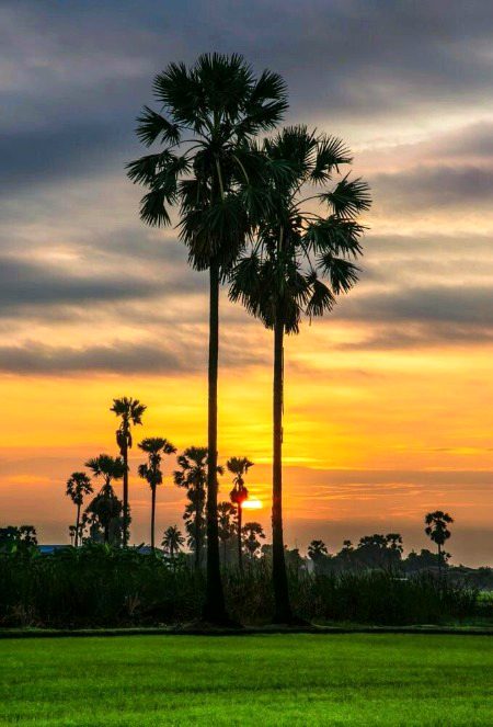 Beautiful Nature image