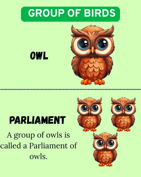 Tips for Students image