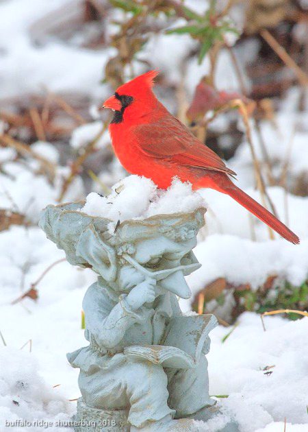 Beautiful Nature image