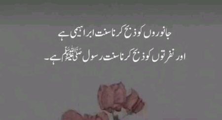 Islamic Quotes image