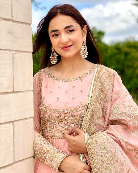 Pakistani Celebs image