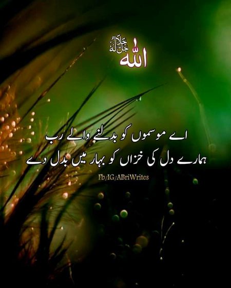 Islamic Quotes image