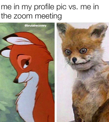 Memes & Satire image