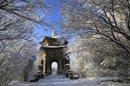 Beautiful Nature image