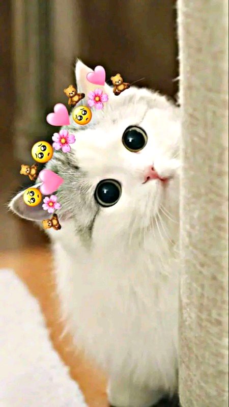 Beautiful Nature image