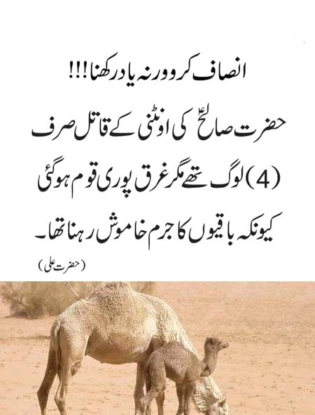 Islamic Quotes image