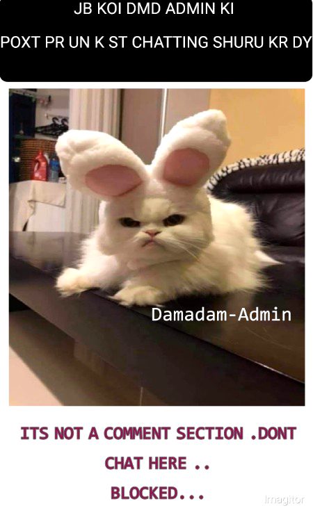 Damadam Roasting image