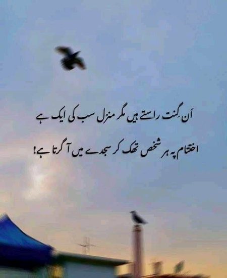 Social media post