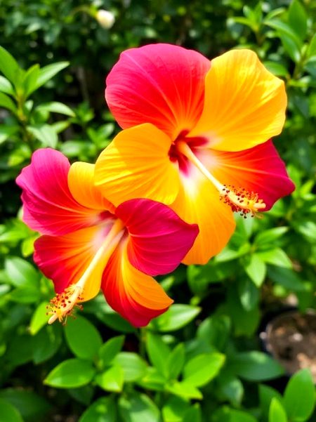 Beautiful Nature image