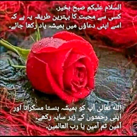 Islamic Quotes image