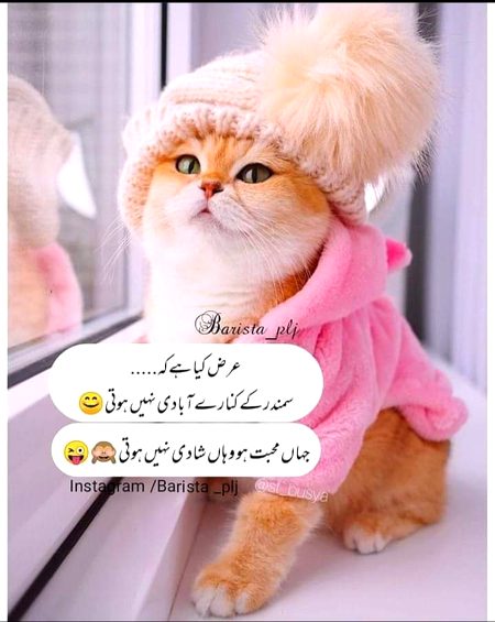 Jokes image
