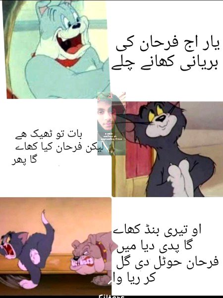 Memes & Satire image