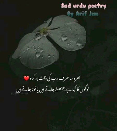 Islamic Quotes image