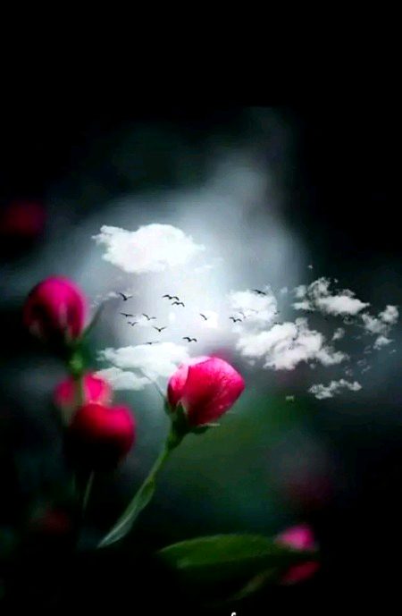 Beautiful Nature image