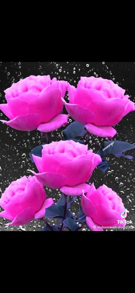 Beautiful Nature image