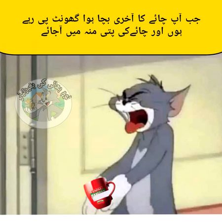 Memes & Satire image