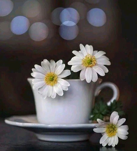 Beautiful Nature image