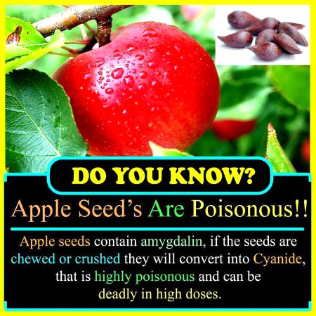 Interesting Posts image