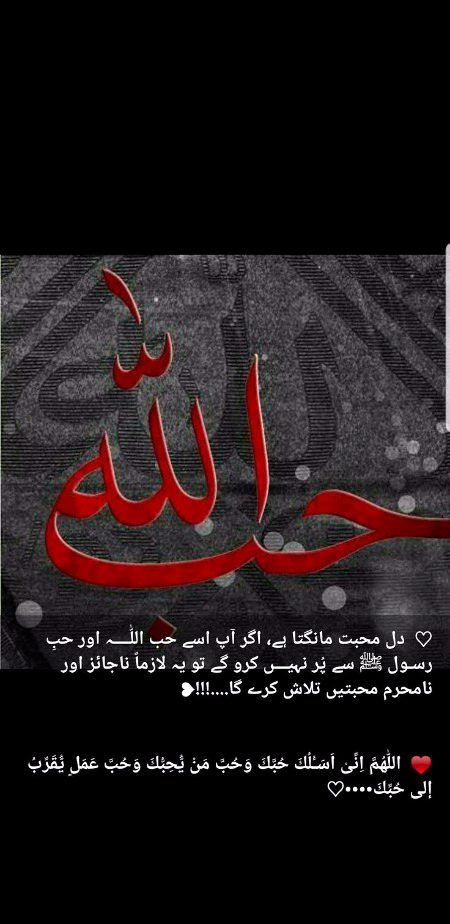 Islamic Quotes image