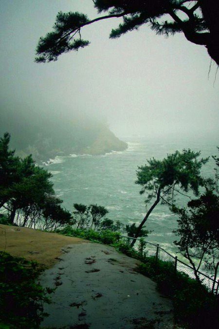 Beautiful Nature image