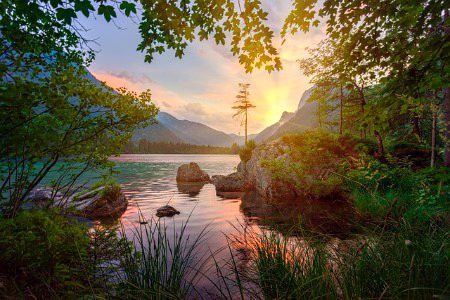 Beautiful Nature image