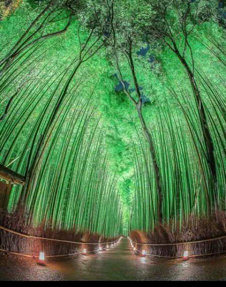 Beautiful Nature image