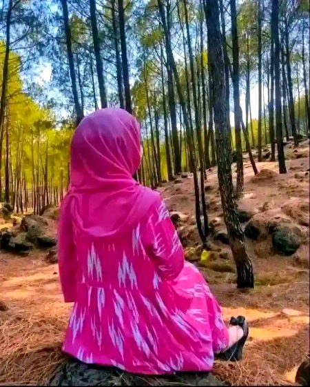 Beautiful Nature image