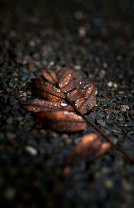 Beautiful Nature image