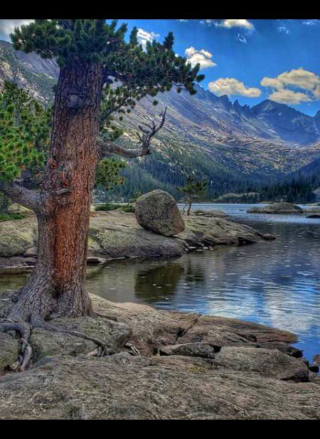 Beautiful Nature image