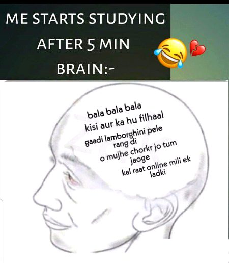 Memes & Satire image