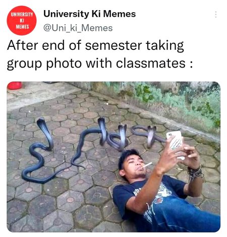 Memes & Satire image