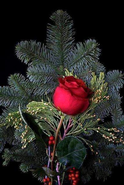 Beautiful Nature image