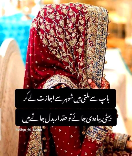 Life Advice image