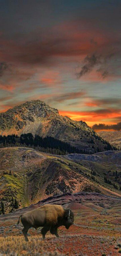 Beautiful Nature image