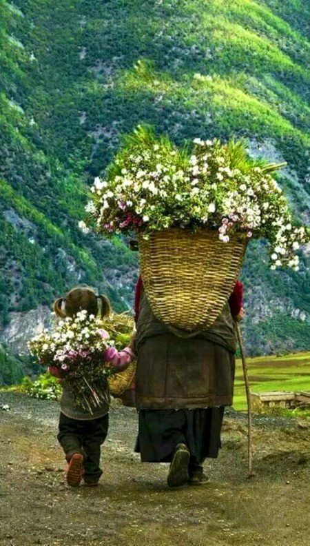 Beautiful Nature image