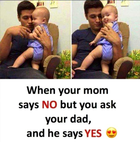 Memes & Satire image