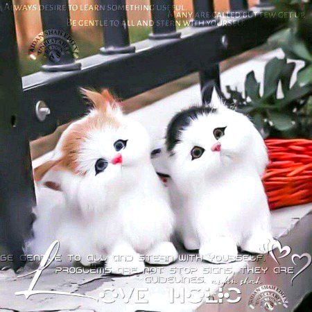 Beautiful Nature image