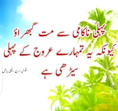 Social media post