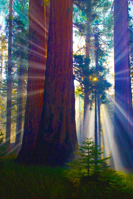 Beautiful Nature image