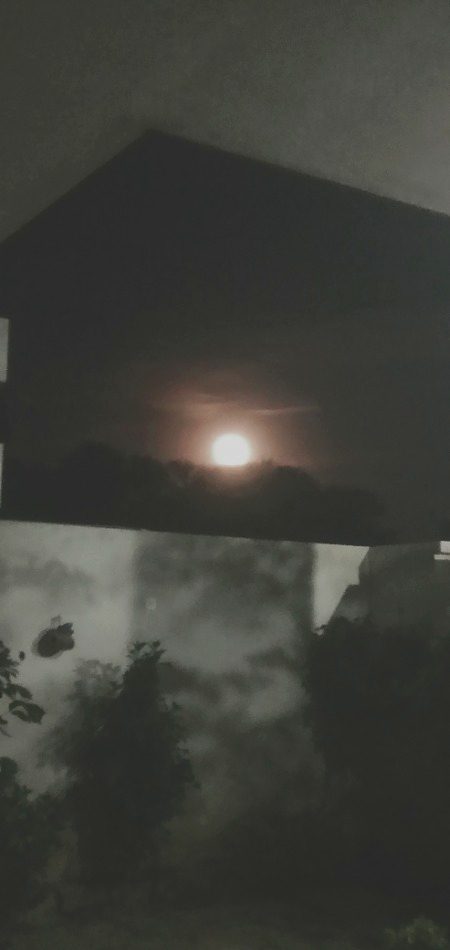 Beautiful Nature image