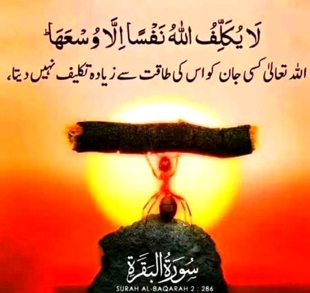 Islamic Quotes image