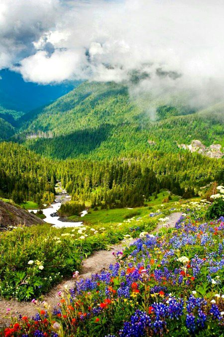 Beautiful Nature image