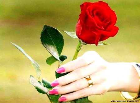 Beautiful Nature image