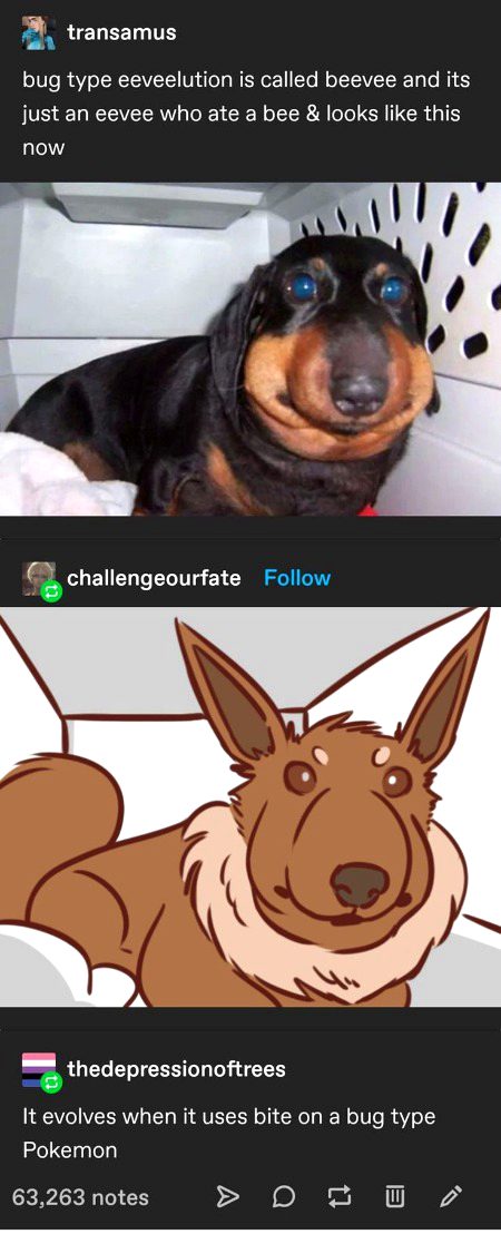 Interesting Posts image